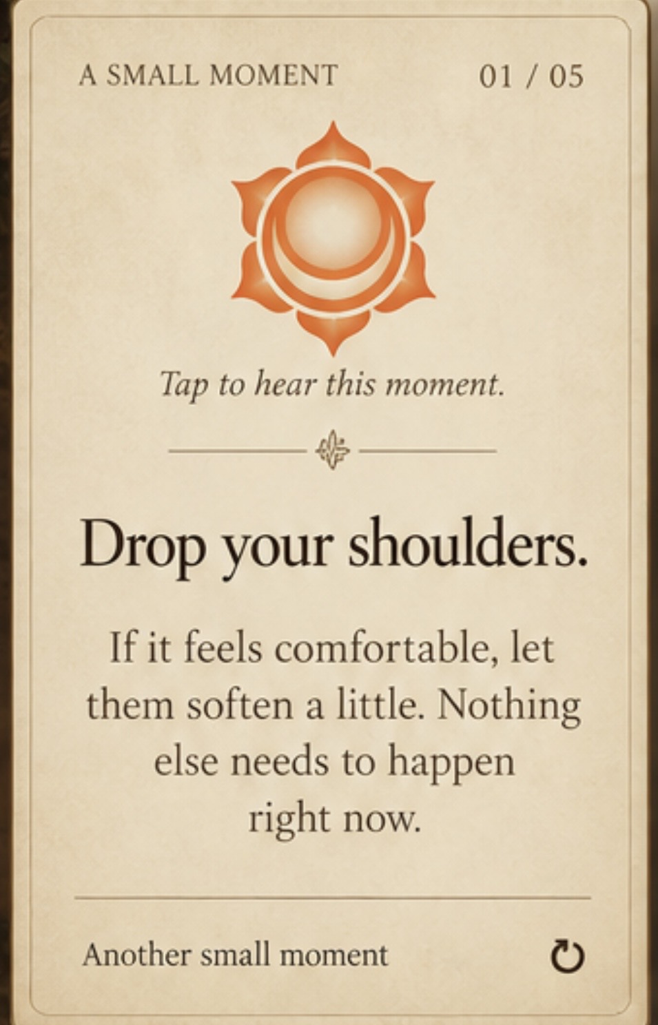 A small moment 1 of 5. Drop your shoulders. If it feels comfortable, let them soften a little. Nothing else needs to happen right now.